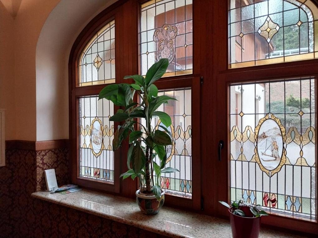 Apartment Jozefinka W Willi Jozefina